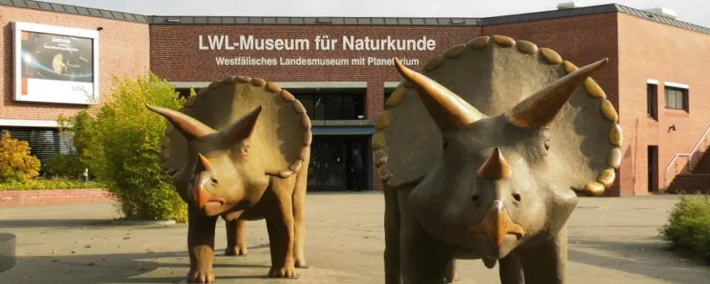 Condor Detektei: Münster ist unser Einsatzgebiet